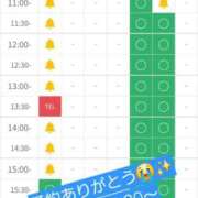 ヒメ日記 2026/04/27 10:23 投稿 つくし ダイスキ