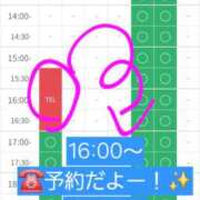 ヒメ日記 2026/04/27 15:45 投稿 つくし ダイスキ