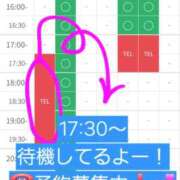 ヒメ日記 2026/05/01 17:35 投稿 つくし ダイスキ