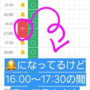 ヒメ日記 2026/05/08 14:30 投稿 つくし ダイスキ