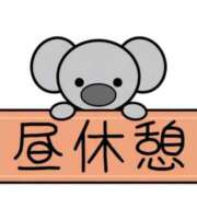 ヒメ日記 2026/05/09 12:25 投稿 つくし ダイスキ