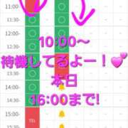 ヒメ日記 2026/05/13 10:10 投稿 つくし ダイスキ