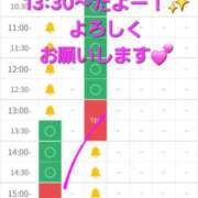 ヒメ日記 2026/05/13 12:05 投稿 つくし ダイスキ