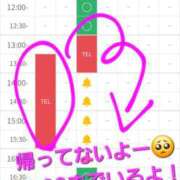 ヒメ日記 2026/05/13 13:37 投稿 つくし ダイスキ