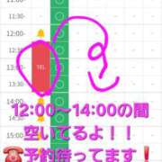 ヒメ日記 2026/05/15 12:21 投稿 つくし ダイスキ