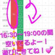 ヒメ日記 2026/05/15 17:03 投稿 つくし ダイスキ