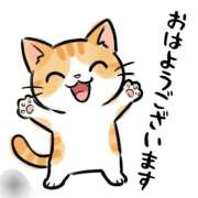 ヒメ日記 2026/05/18 08:44 投稿 つくし ダイスキ