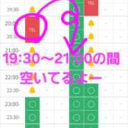 ヒメ日記 2026/05/30 11:10 投稿 つくし ダイスキ