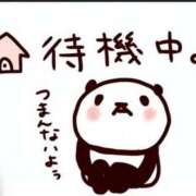 ヒメ日記 2026/06/14 17:08 投稿 つくし ダイスキ