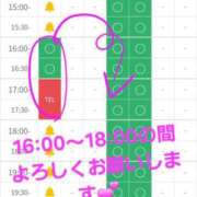 ヒメ日記 2026/06/15 14:32 投稿 つくし ダイスキ