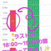 ヒメ日記 2026/06/23 17:56 投稿 つくし ダイスキ
