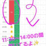 ヒメ日記 2026/08/29 11:38 投稿 つくし ダイスキ