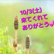 ヒメ日記 2026/10/06 08:01 投稿 つくし ダイスキ