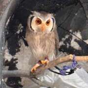 ヒメ日記 2025/05/07 08:18 投稿 コノミ マドンナ(仙台)