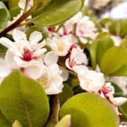 ヒメ日記 2025/05/17 23:20 投稿 ゆめ One More奥様 大宮店