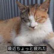 ヒメ日記 2025/09/25 12:08 投稿 美優-みゆ【FG系列】 ほんつま 町田/相模原店