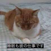 ヒメ日記 2025/11/18 16:49 投稿 美優-みゆ【FG系列】 ほんつま 町田/相模原店