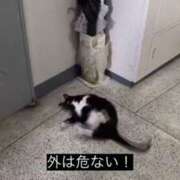 ヒメ日記 2026/02/15 16:45 投稿 美優-みゆ【FG系列】 ほんつま 町田/相模原店