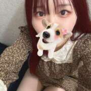 ヒメ日記 2025/04/25 20:41 投稿 ひなみ 横浜ハートショコラ（シンデレラグループ）