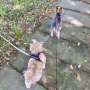 ヒメ日記 2025/05/13 23:28 投稿 ひなみ 横浜ハートショコラ（シンデレラグループ）