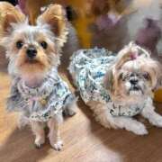 ヒメ日記 2025/06/01 21:08 投稿 ひなみ 横浜ハートショコラ（シンデレラグループ）