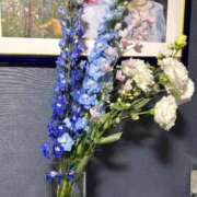 ヒメ日記 2025/06/10 23:11 投稿 ひなみ 横浜ハートショコラ（シンデレラグループ）