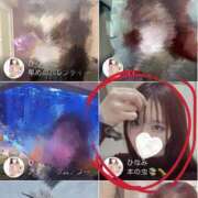 ヒメ日記 2026/03/06 23:41 投稿 ひなみ 横浜ハートショコラ（シンデレラグループ）