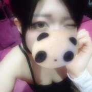 ヒメ日記 2025/05/14 12:59 投稿 ミサコ ドMなバニーちゃん水戸店