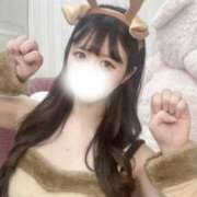 れたす おはよぉ♥️ シンデレラ【平均年齢20才、風俗未経験の娘が8割以上】