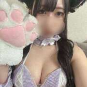 ヒメ日記 2025/04/21 02:11 投稿 さき にゃんだ☆full☆MIX（にゃんだふるみっくす）