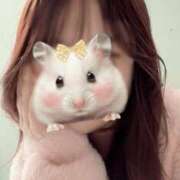 ヒメ日記 2025/04/29 19:05 投稿 朝戸 美香 人妻セレブ宮殿