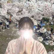 ヒメ日記 2025/04/24 20:34 投稿 篠宮かぐら ブルーバード