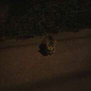 ヒメ日記 2025/05/13 21:32 投稿 あや WHITE（金沢）