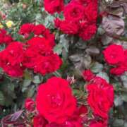 ヒメ日記 2025/05/30 23:02 投稿 あや WHITE（金沢）