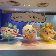 ヒメ日記 2025/04/23 12:03 投稿 ラピス Evolution1st ミナミ谷九店