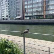 ヒメ日記 2025/05/06 07:45 投稿 小川 美月 プルプルオフィスディーバ