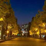 ヒメ日記 2025/11/11 12:06 投稿 小川 美月 プルプルオフィスディーバ