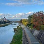 ヒメ日記 2025/11/15 11:50 投稿 小川 美月 プルプルオフィスディーバ