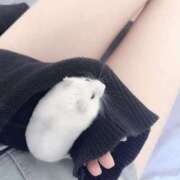 ヒメ日記 2025/09/19 10:10 投稿 みれい アラモード