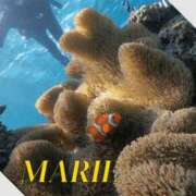 ヒメ日記 2025/07/20 13:39 投稿 一条 まりえ HANA-okinawa-