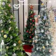 ヒメ日記 2025/12/23 14:10 投稿 りんか 手こき＆オナクラ 大阪はまちゃん