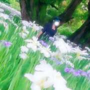 ヒメ日記 2025/06/17 16:23 投稿 れに モアグループ小山人妻花壇