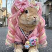 ヒメ日記 2026/02/04 22:39 投稿 れに モアグループ小山人妻花壇