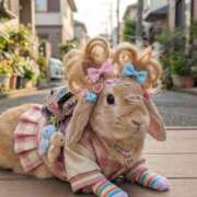 ヒメ日記 2026/02/05 22:12 投稿 れに モアグループ小山人妻花壇