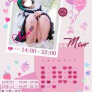 ヒメ日記 2026/03/14 10:00 投稿 れに モアグループ小山人妻花壇