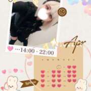 ヒメ日記 2026/04/03 18:00 投稿 れに モアグループ小山人妻花壇