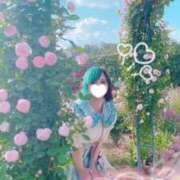 ヒメ日記 2026/05/08 22:00 投稿 れに モアグループ小山人妻花壇