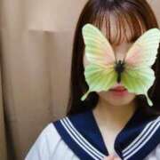 ヒメ日記 2026/03/23 10:02 投稿 さら あふたーすくーる本店