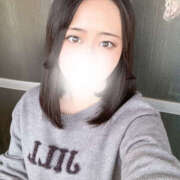 ヒメ日記 2025/06/03 17:00 投稿 ハナミズキ 飾窓