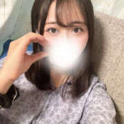 ヒメ日記 2025/06/06 09:40 投稿 ハナミズキ 飾窓